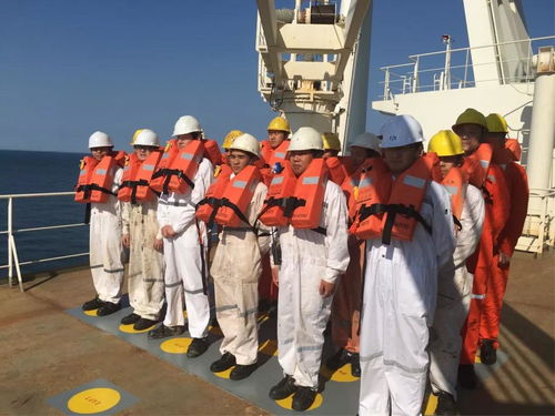 陽海國際船舶公司誠聘招生代理，共拓國際船舶管理業務新篇章