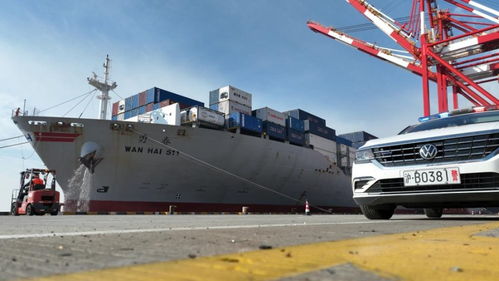 春節臨近，上海邊檢助力民生物資快速抵滬，保障國際船舶管理業務高效運轉